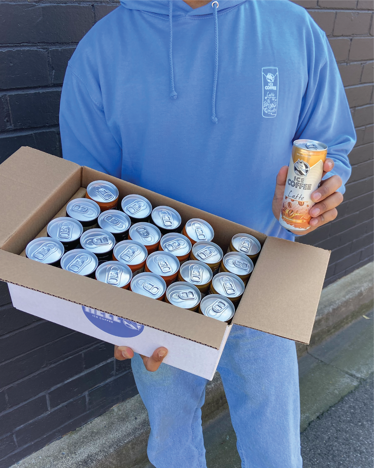 Hell Ice Coffee Mixed 24 Pack